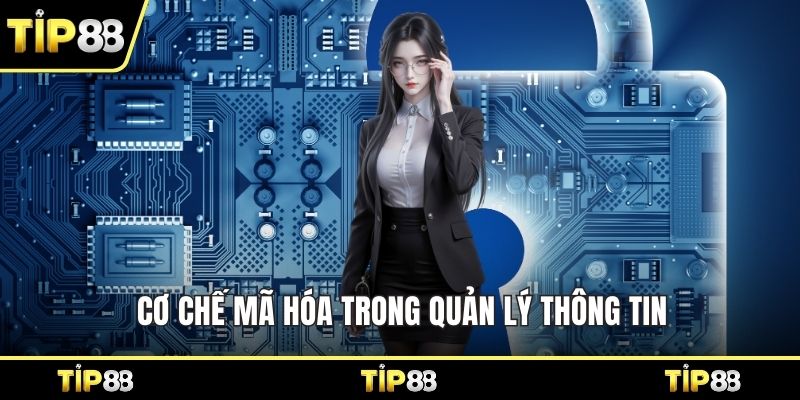 Cơ chế mã hóa trong quản lý thông tin