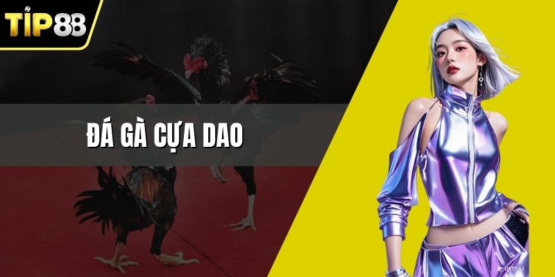 Đá Gà Cựa Dao Kịch Tính Thu Hút Người Chơi Hiện Nay