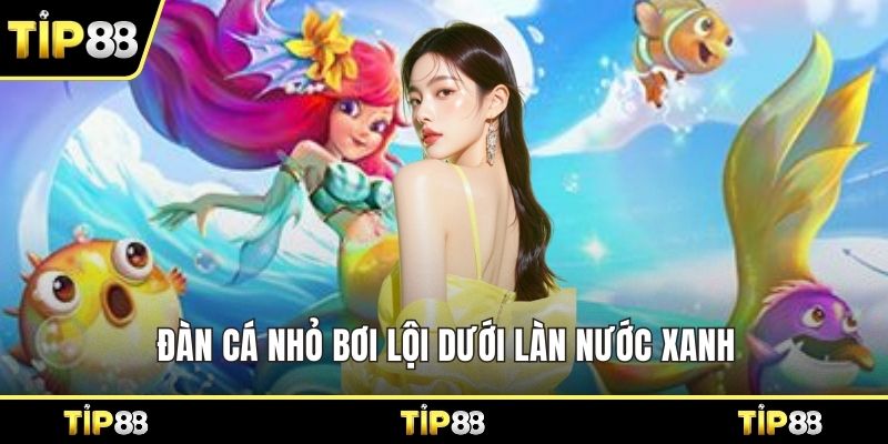 Đàn cá nhỏ bơi lội dưới làn nước xanh