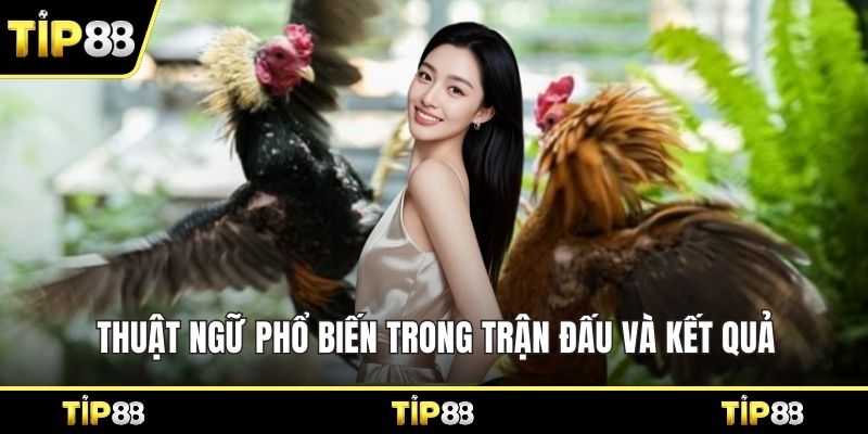 Thuật ngữ phổ biến trong trận đấu và kết quả