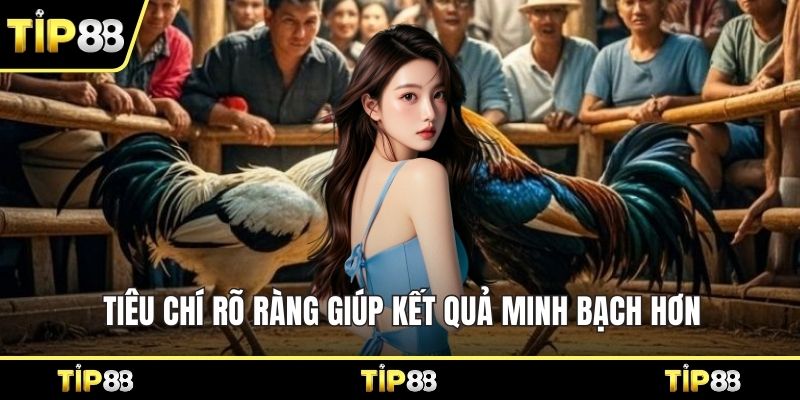 Tiêu chí rõ ràng giúp kết quả minh bạch hơn